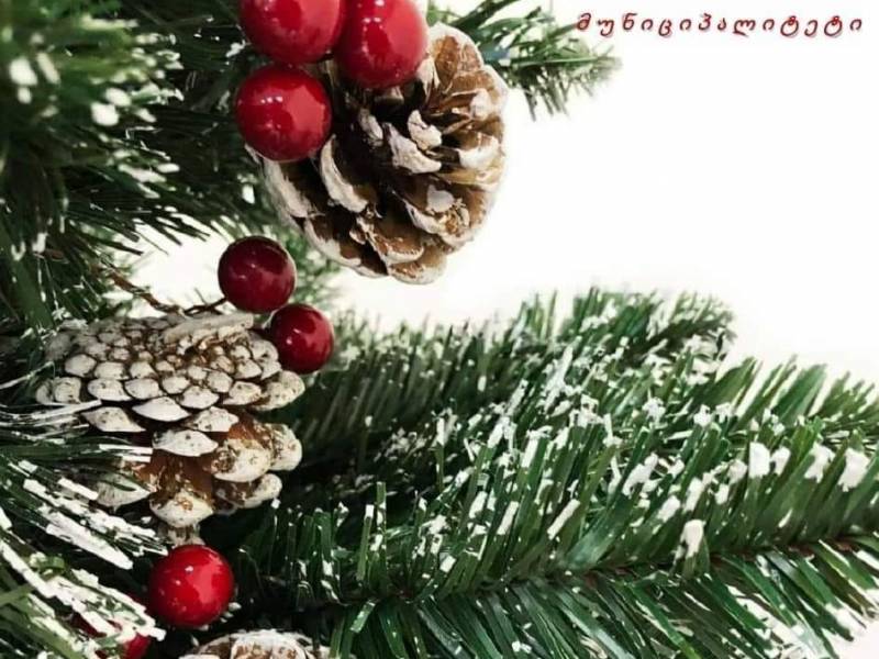 12 იანვარს  ცაგერის მუნიციპალიტეტის სოფელ ორბელის ცენტრში გაიმართება საახალწლო კონცერტი